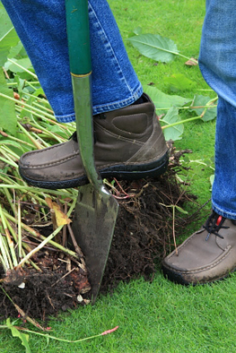 Workshop Tuinonderhoud