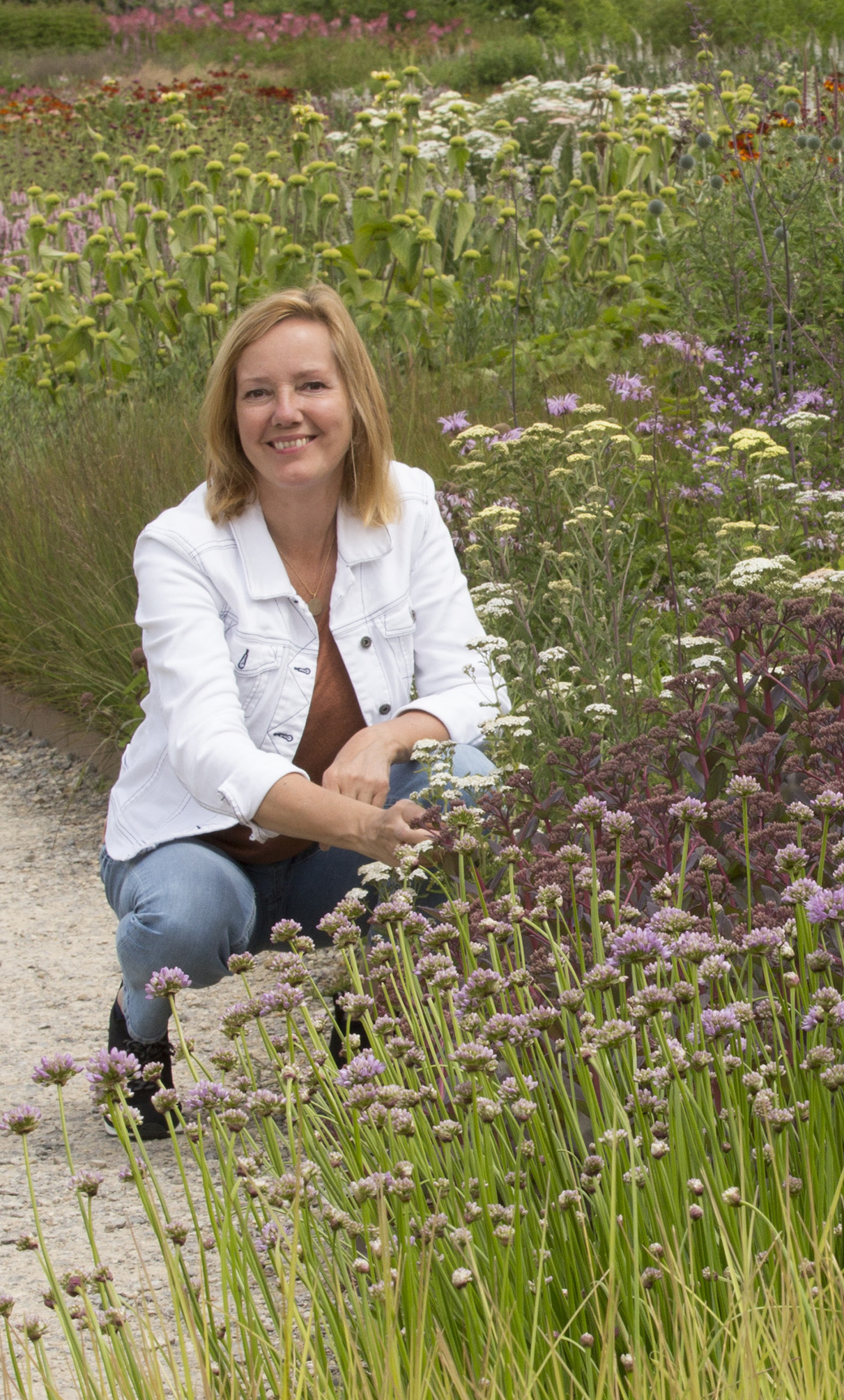 Modeste Herwig