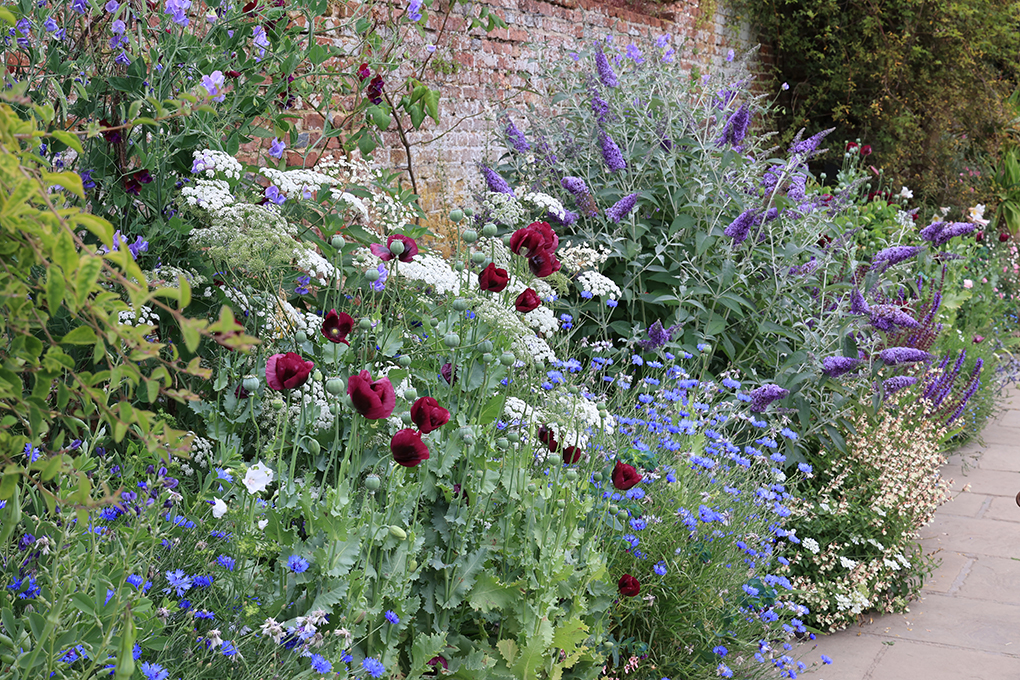 Tuinblog foto Sissinghurst