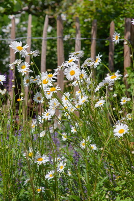 Workshop Klimaatslim Tuinieren